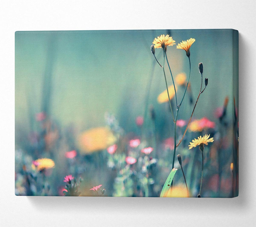 Dandelion Garden Canvas Art