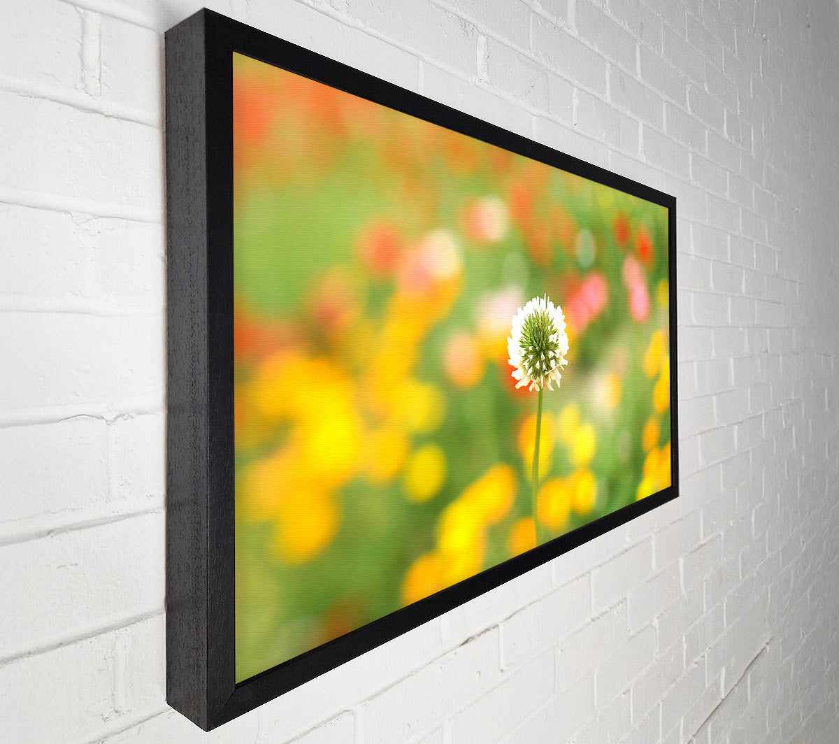 White Clover Canvas Wall Art