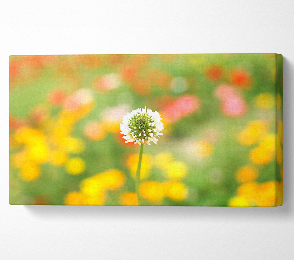 White Clover Canvas Wall Art