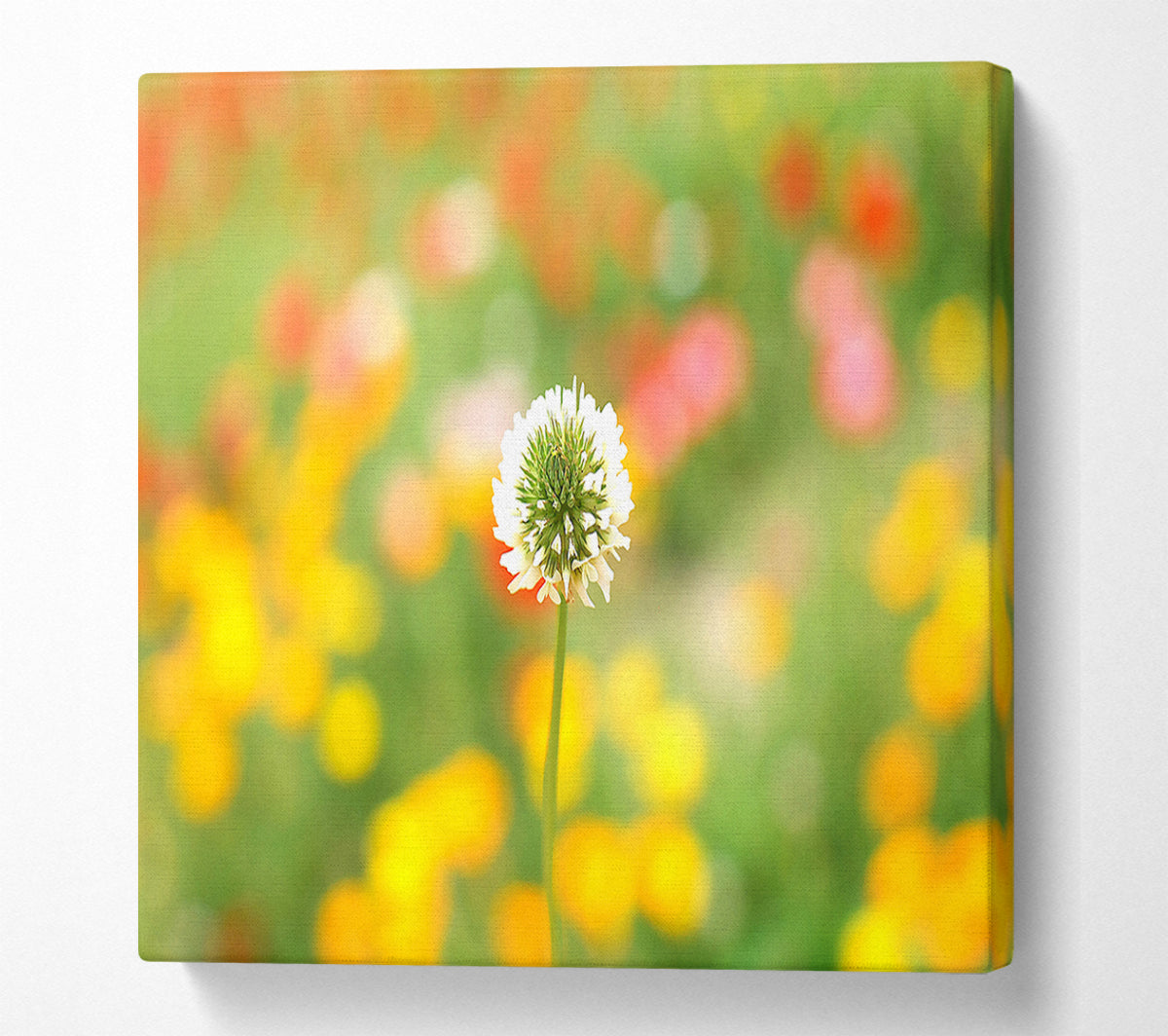 White Clover Canvas Wall Art