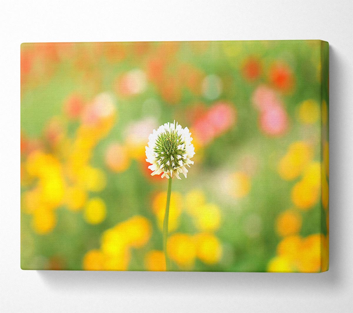White Clover Canvas Wall Art