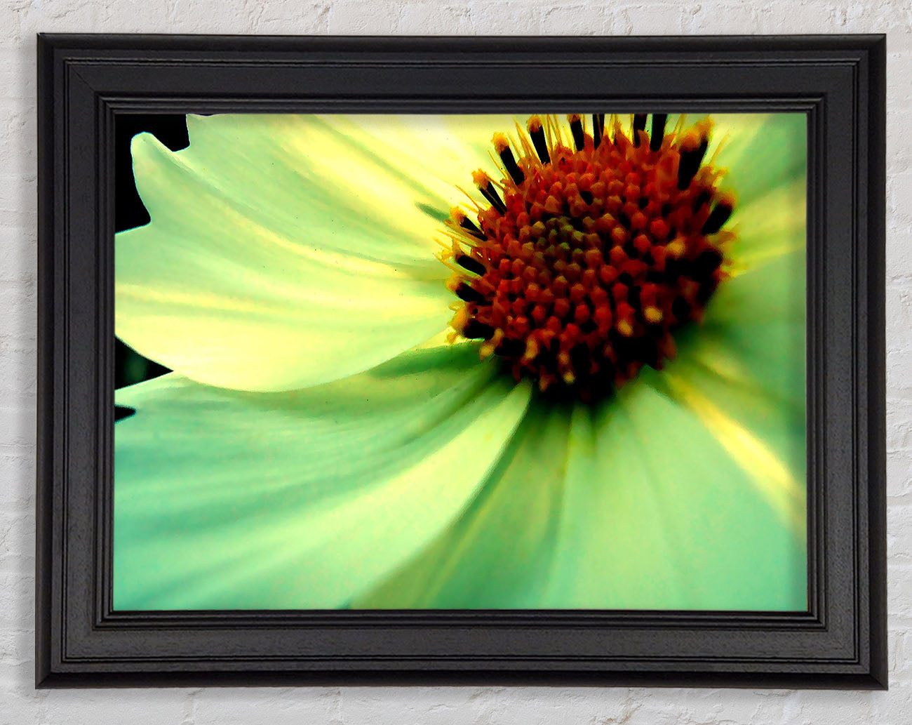 White Green Petals Framed Print