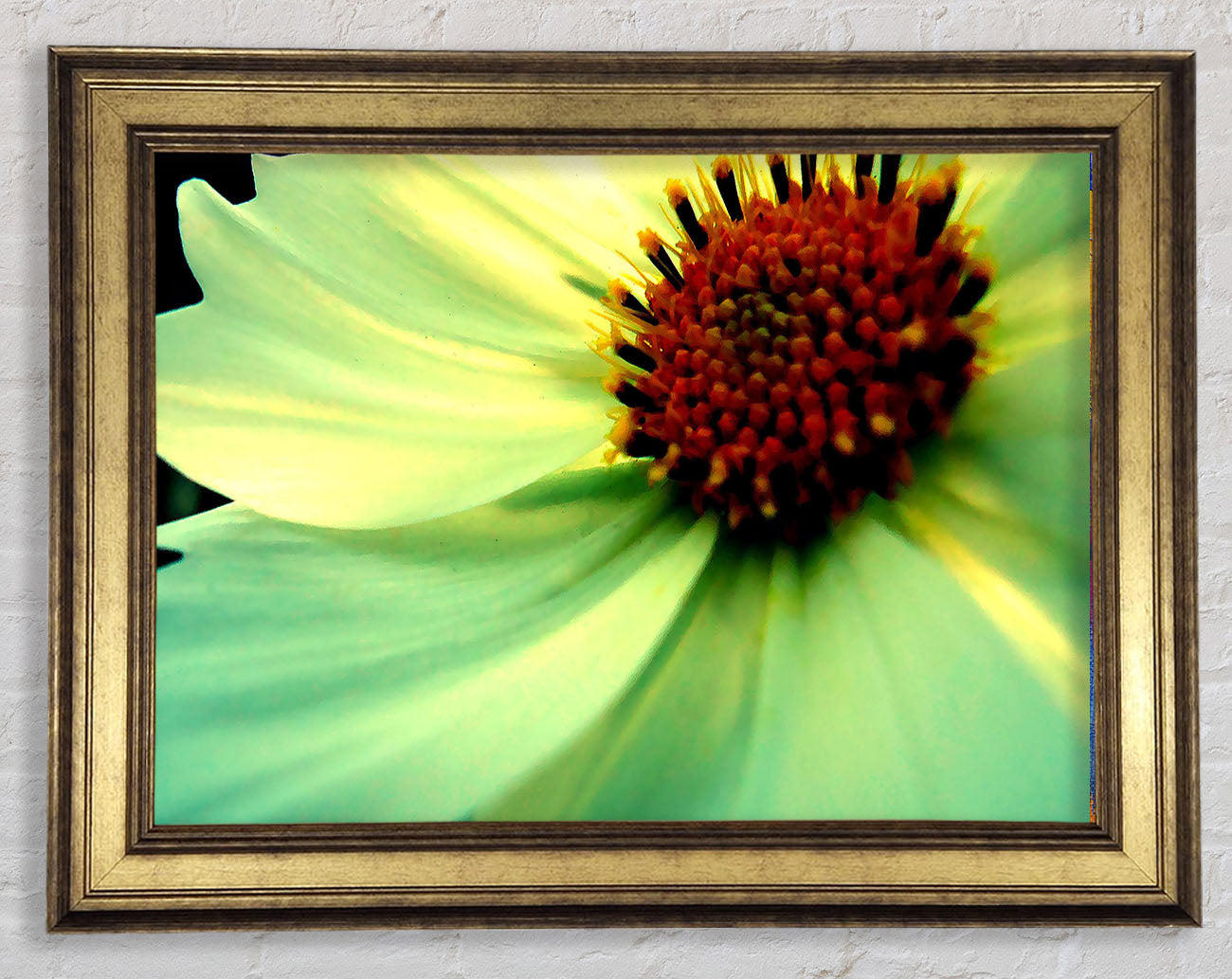 White Green Petals Framed Print
