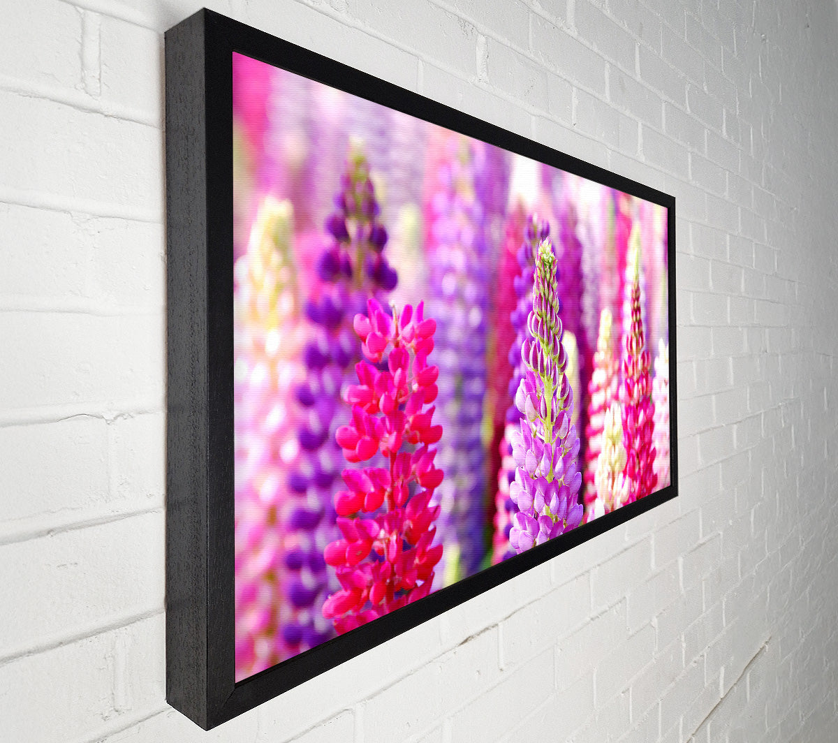 Pink And Purple Lupin Flowers Canvas Wall Art