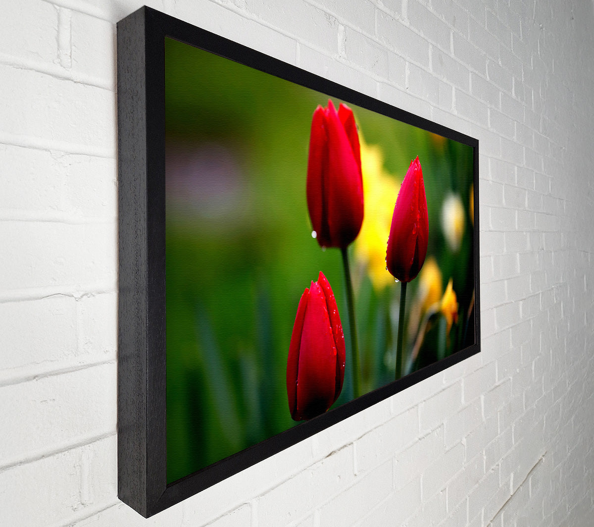 Three Red Tulips Canvas Wall Art