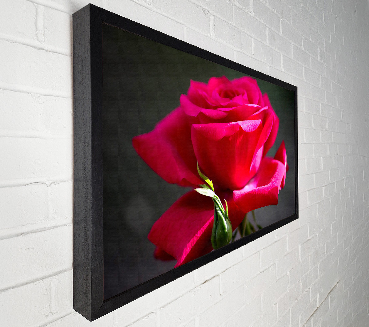 Red Pink Rose Canvas Wall Art