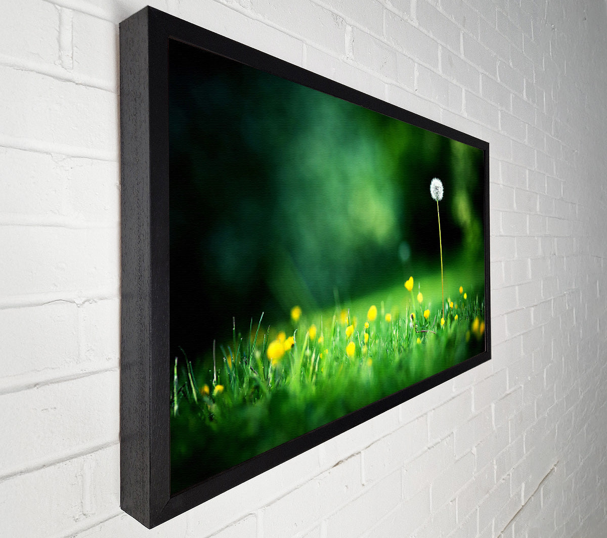 My Last Wish Canvas Print