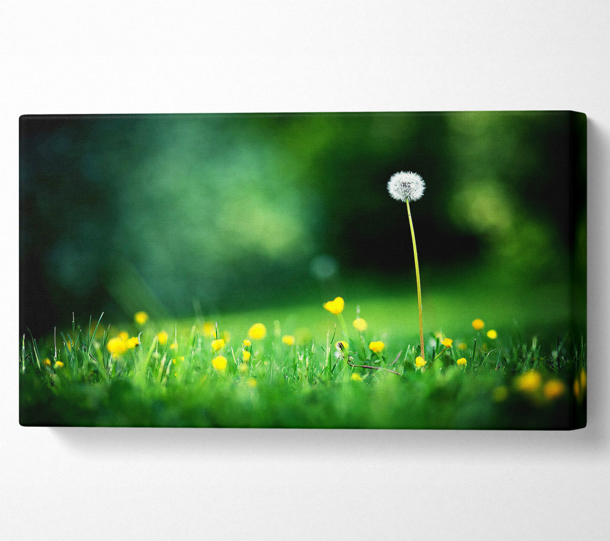 My Last Wish Canvas Print