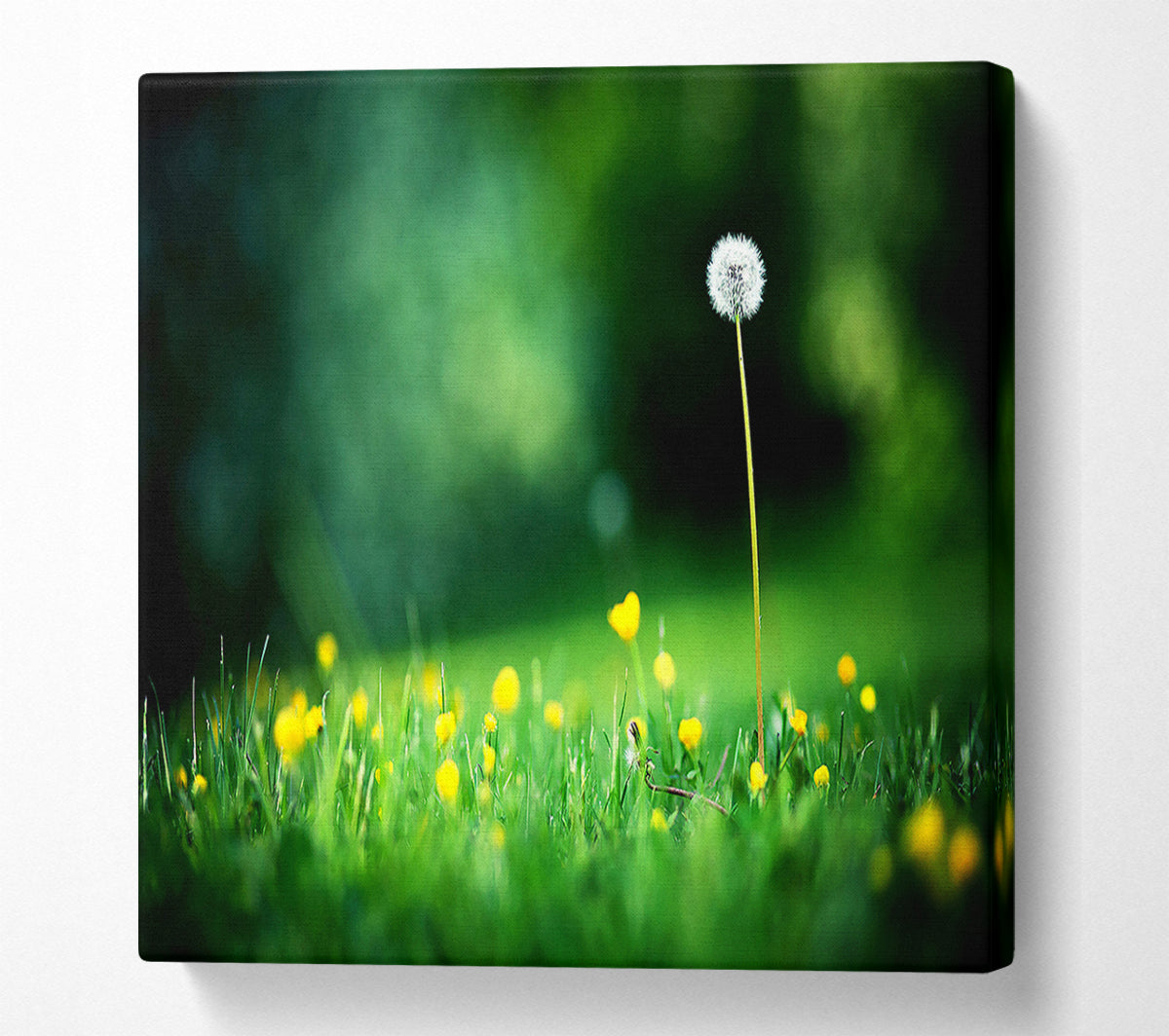 My Last Wish Canvas Print