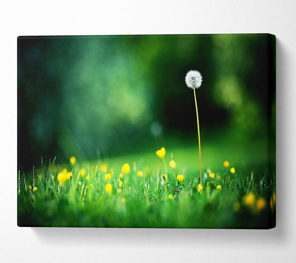 My Last Wish Canvas Print