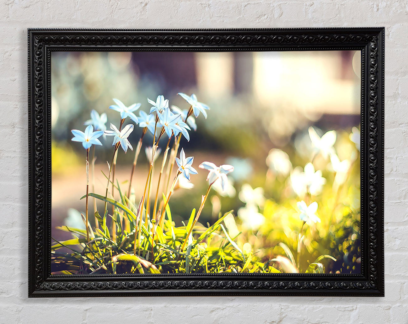 Soft Blue Garden Flowers Framed Print