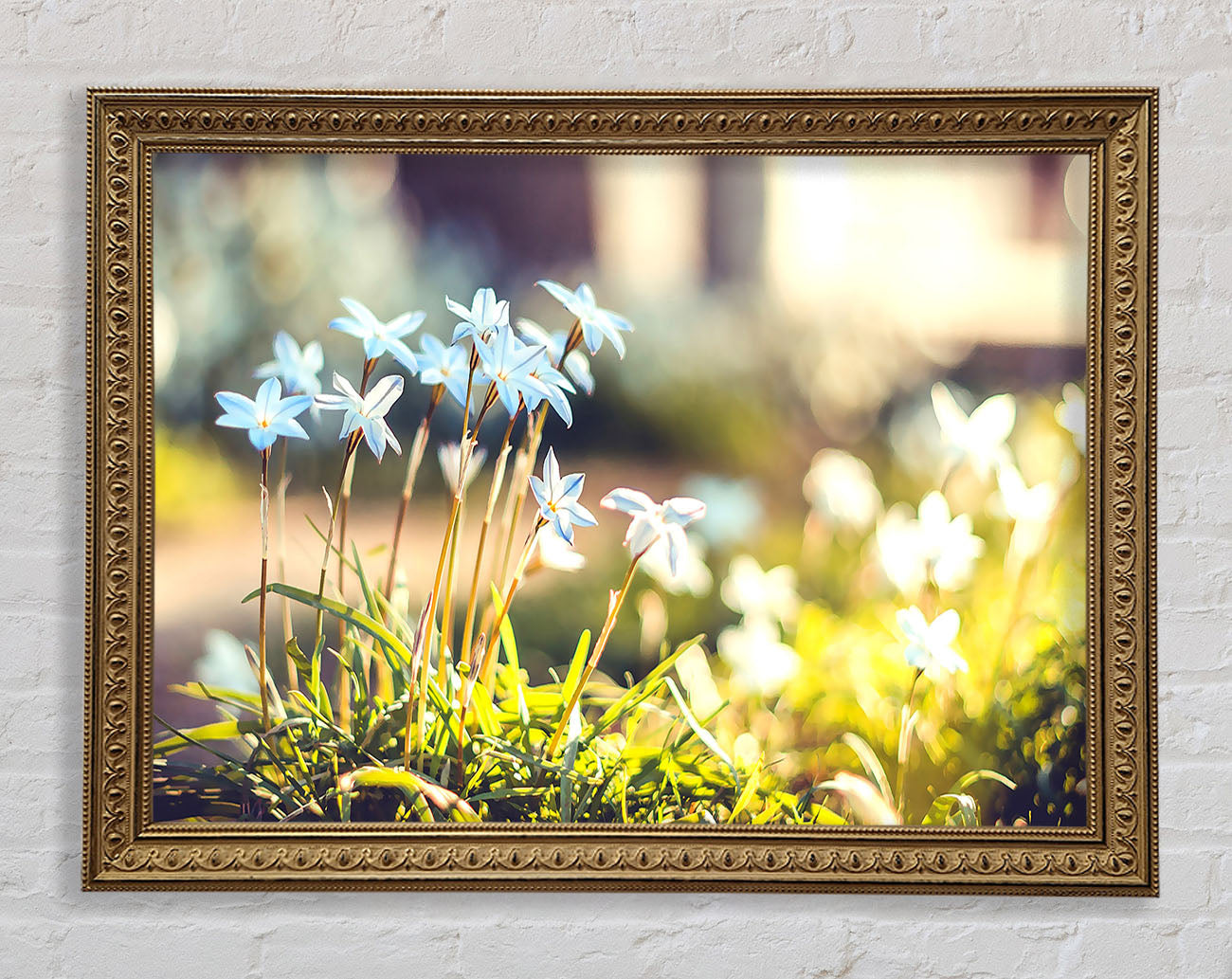 Soft Blue Garden Flowers Framed Print