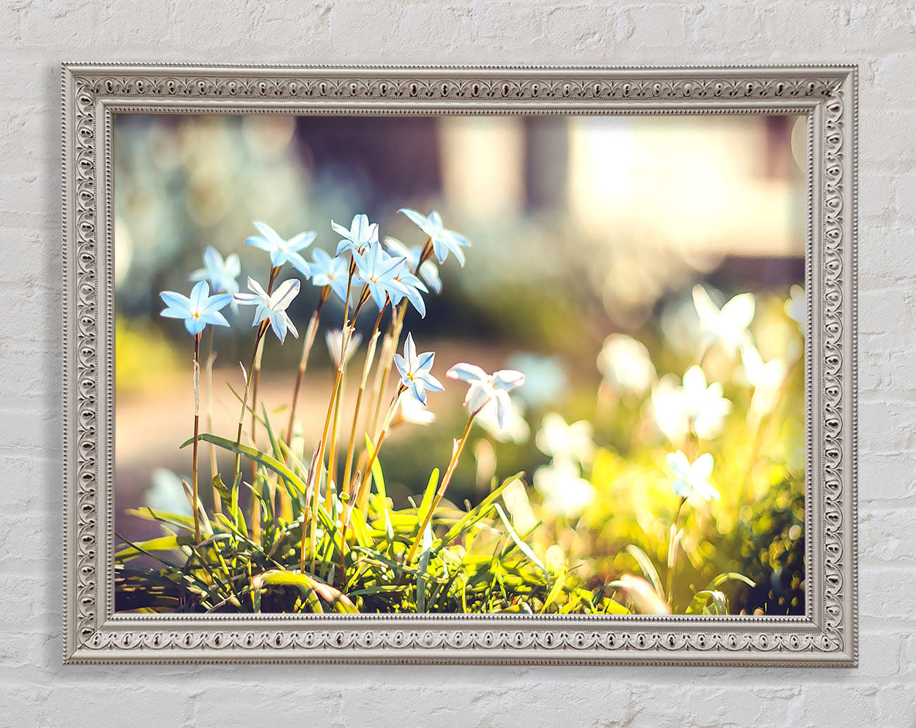 Soft Blue Garden Flowers Framed Print