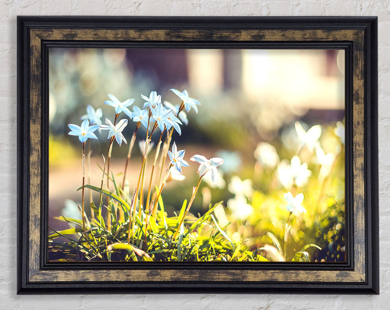 Soft Blue Garden Flowers Framed Print