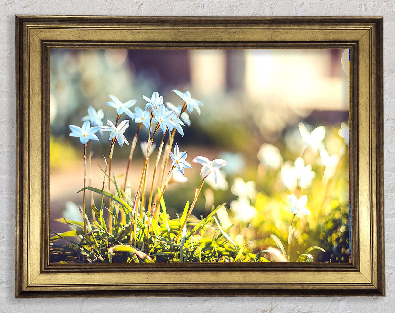 Soft Blue Garden Flowers Framed Print
