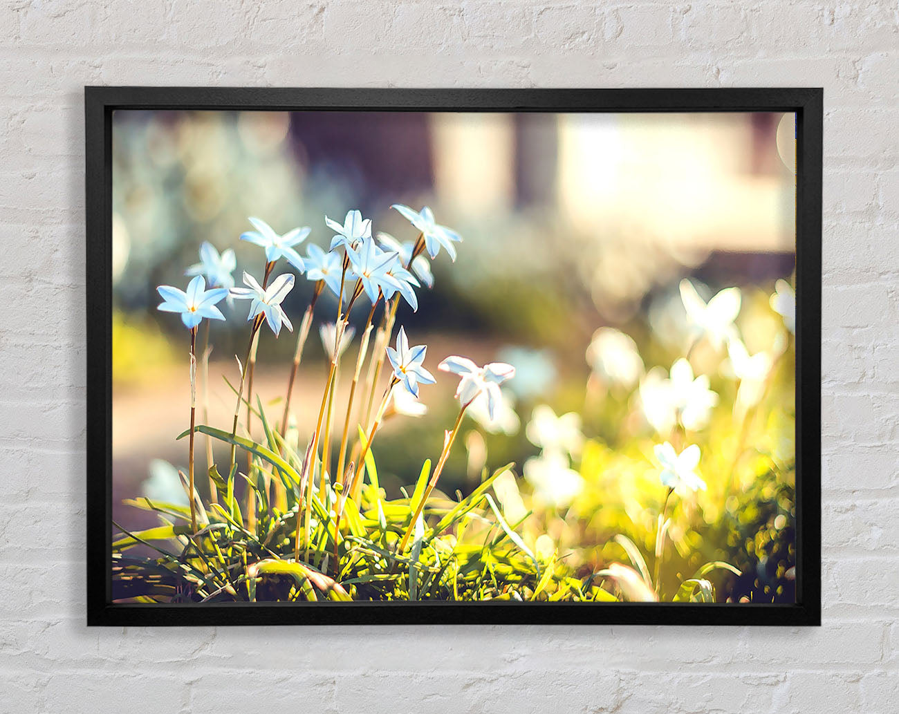 Soft Blue Garden Flowers Framed Print