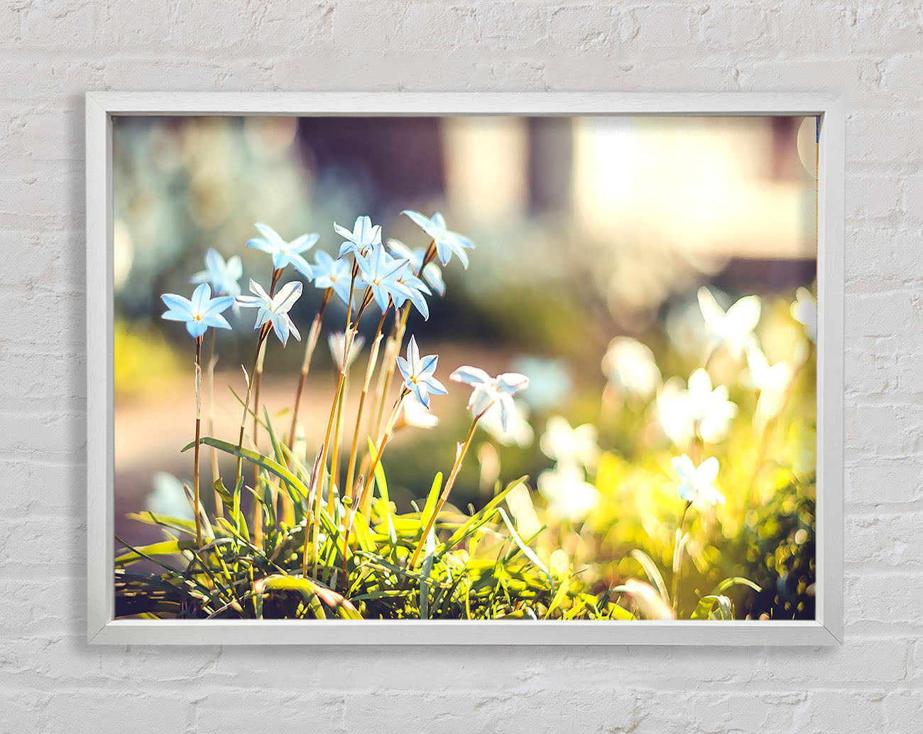 Soft Blue Garden Flowers Framed Print