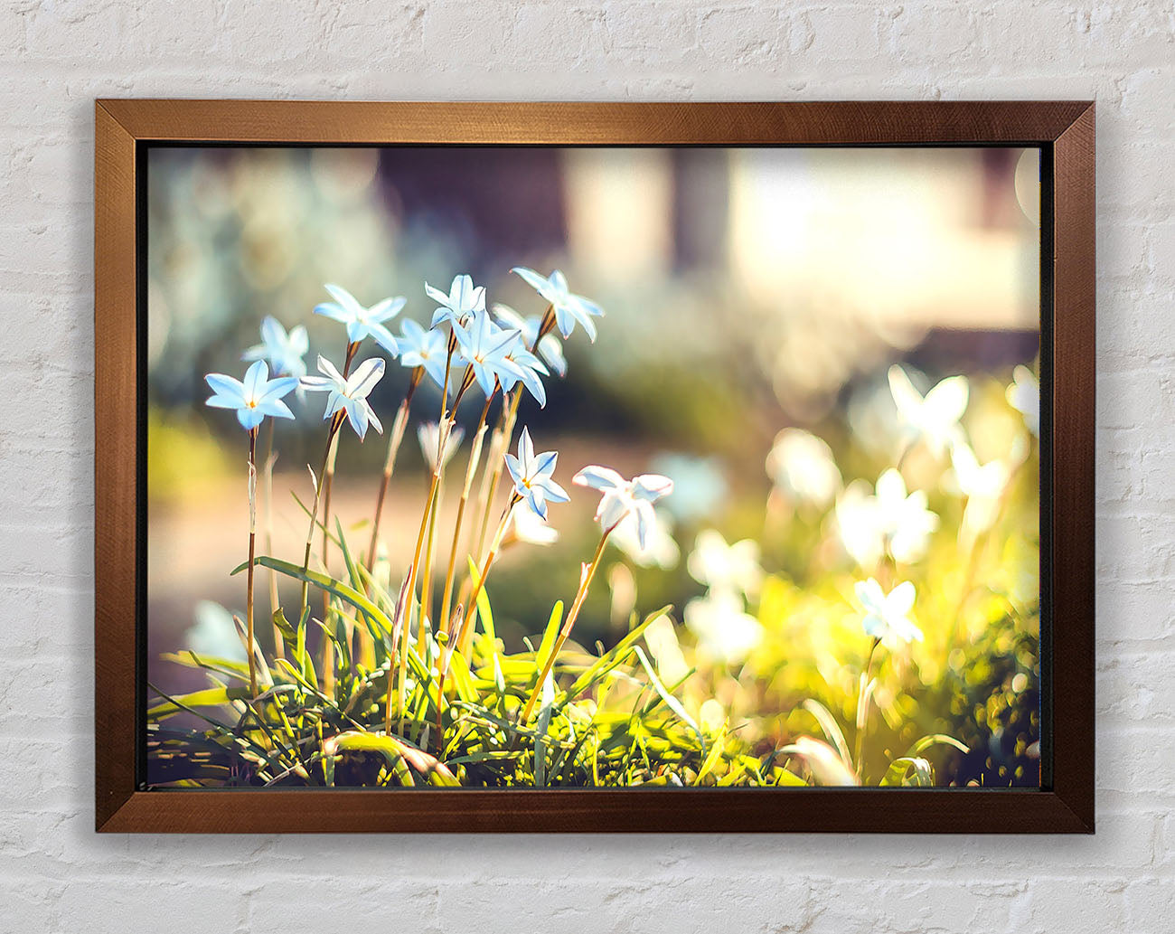 Soft Blue Garden Flowers Framed Print