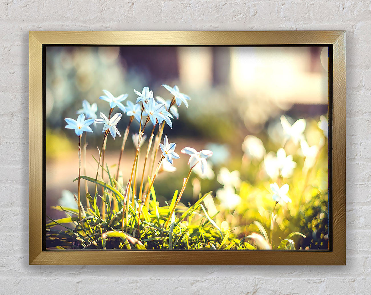 Soft Blue Garden Flowers Framed Print