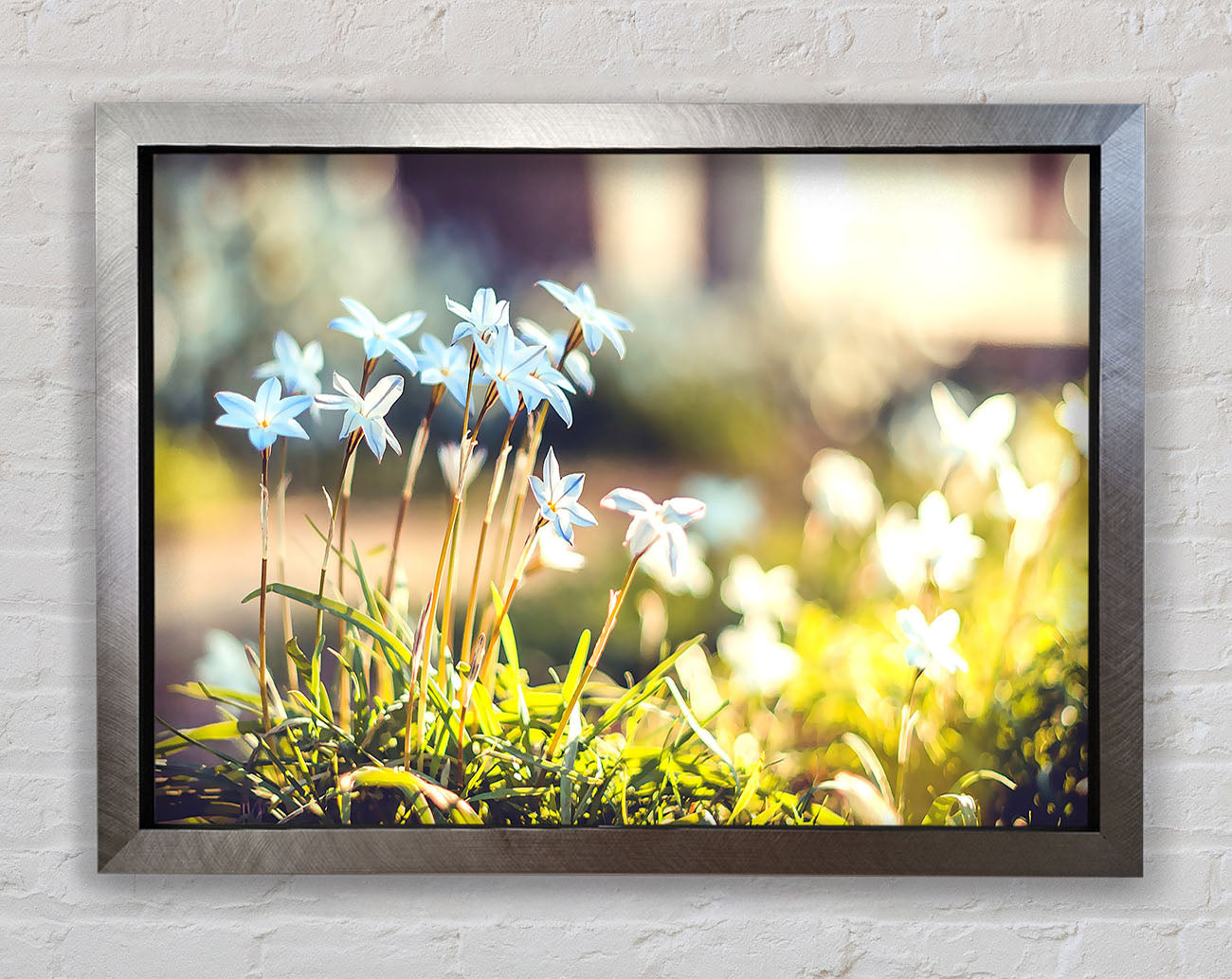 Soft Blue Garden Flowers Framed Print