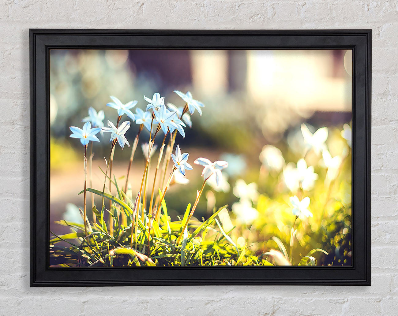 Soft Blue Garden Flowers Framed Print