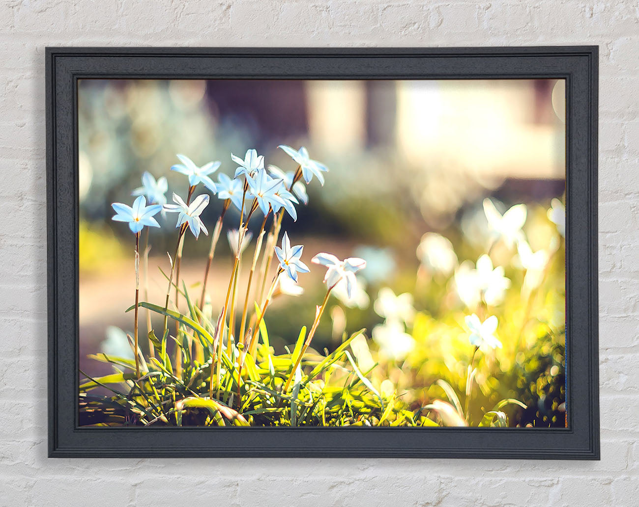 Soft Blue Garden Flowers Framed Print