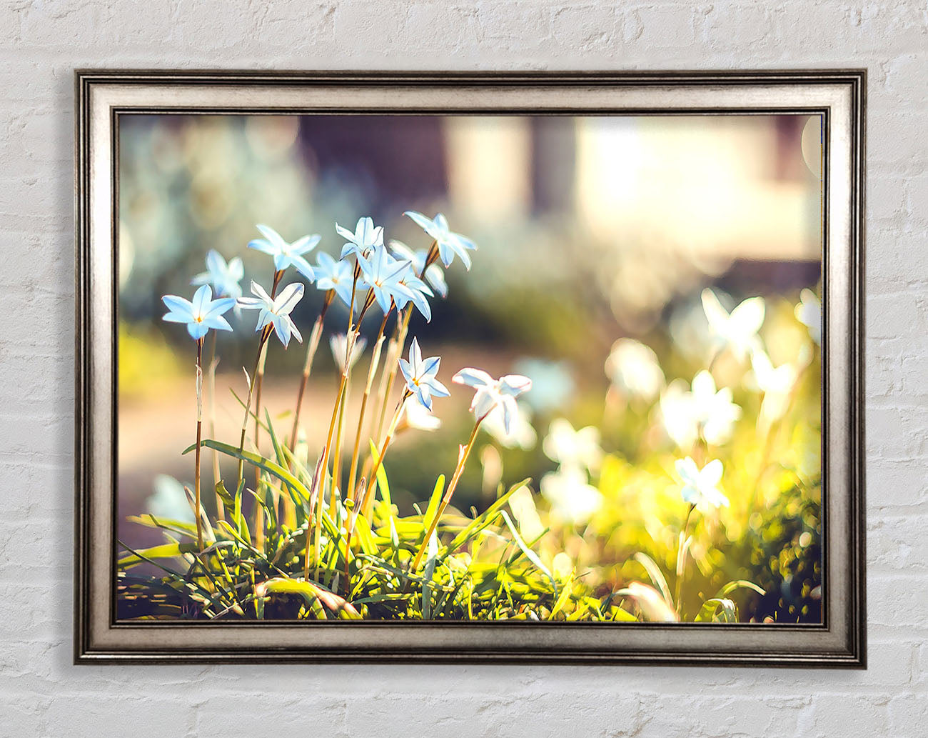 Soft Blue Garden Flowers Framed Print