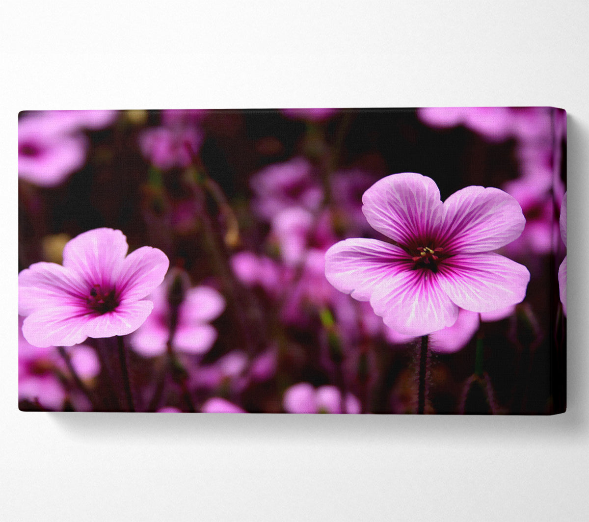 Purple Trumpets Canvas Wall Art