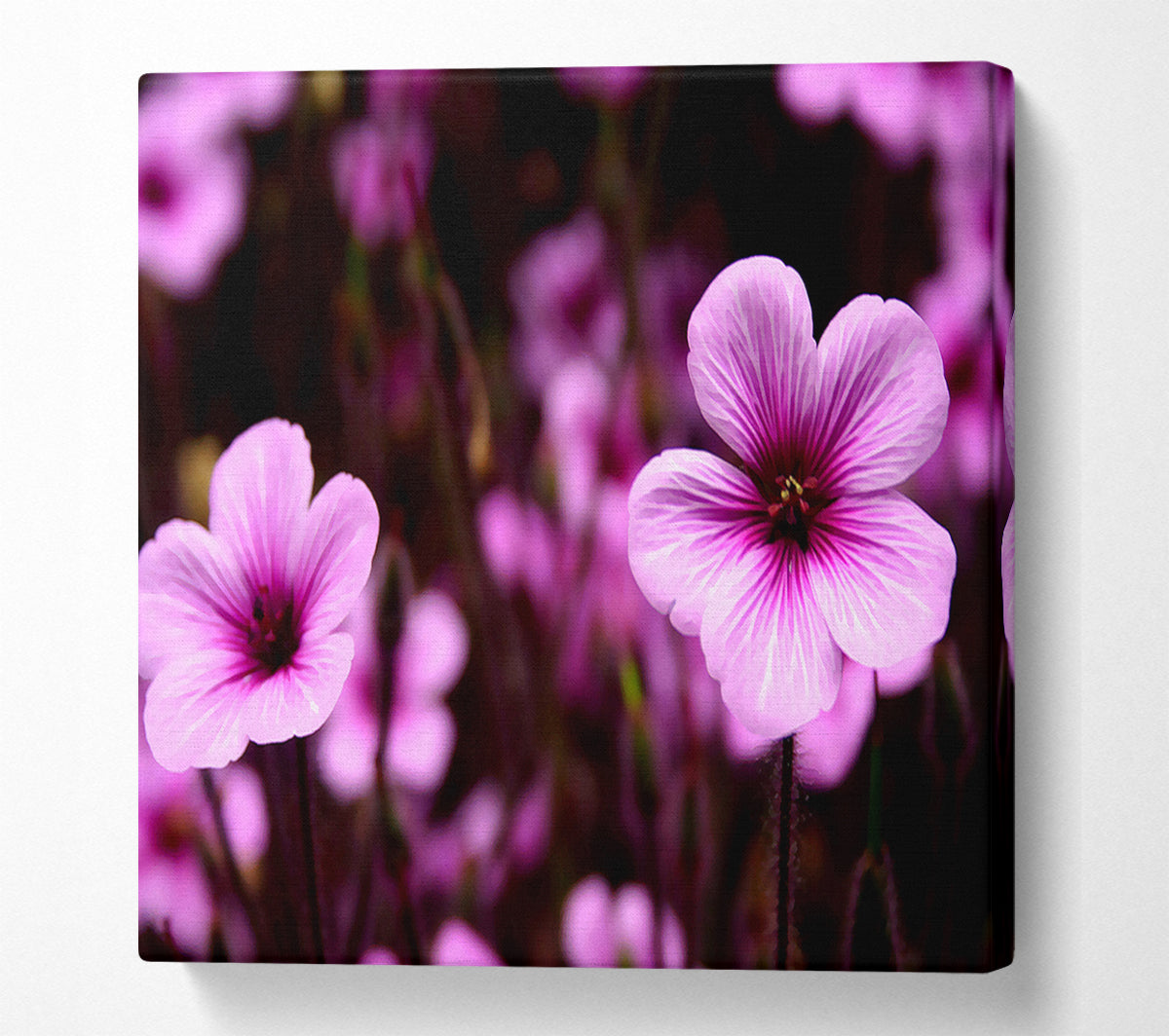 Purple Trumpets Canvas Wall Art