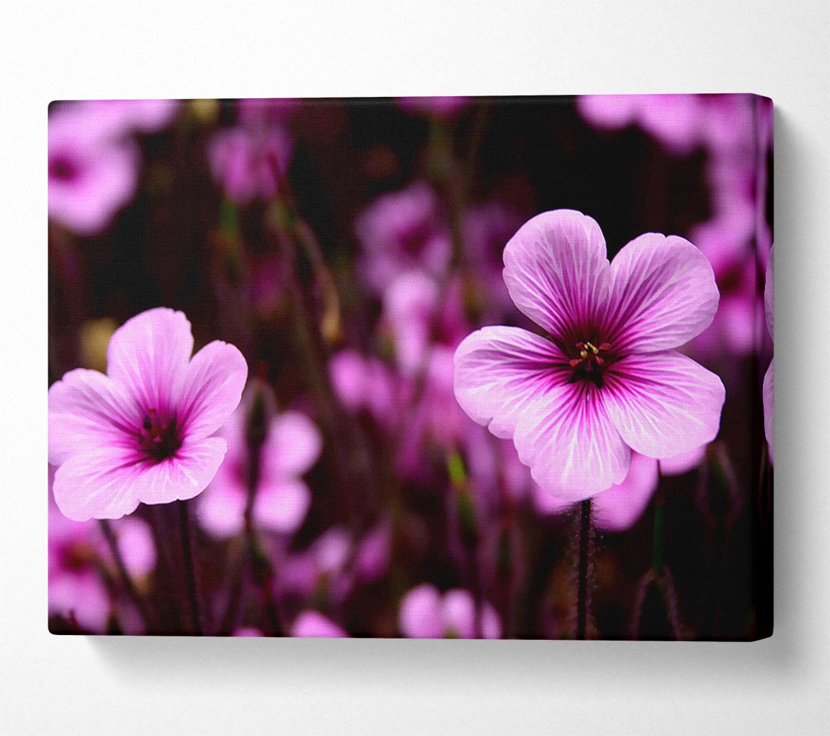 Purple Trumpets Canvas Wall Art