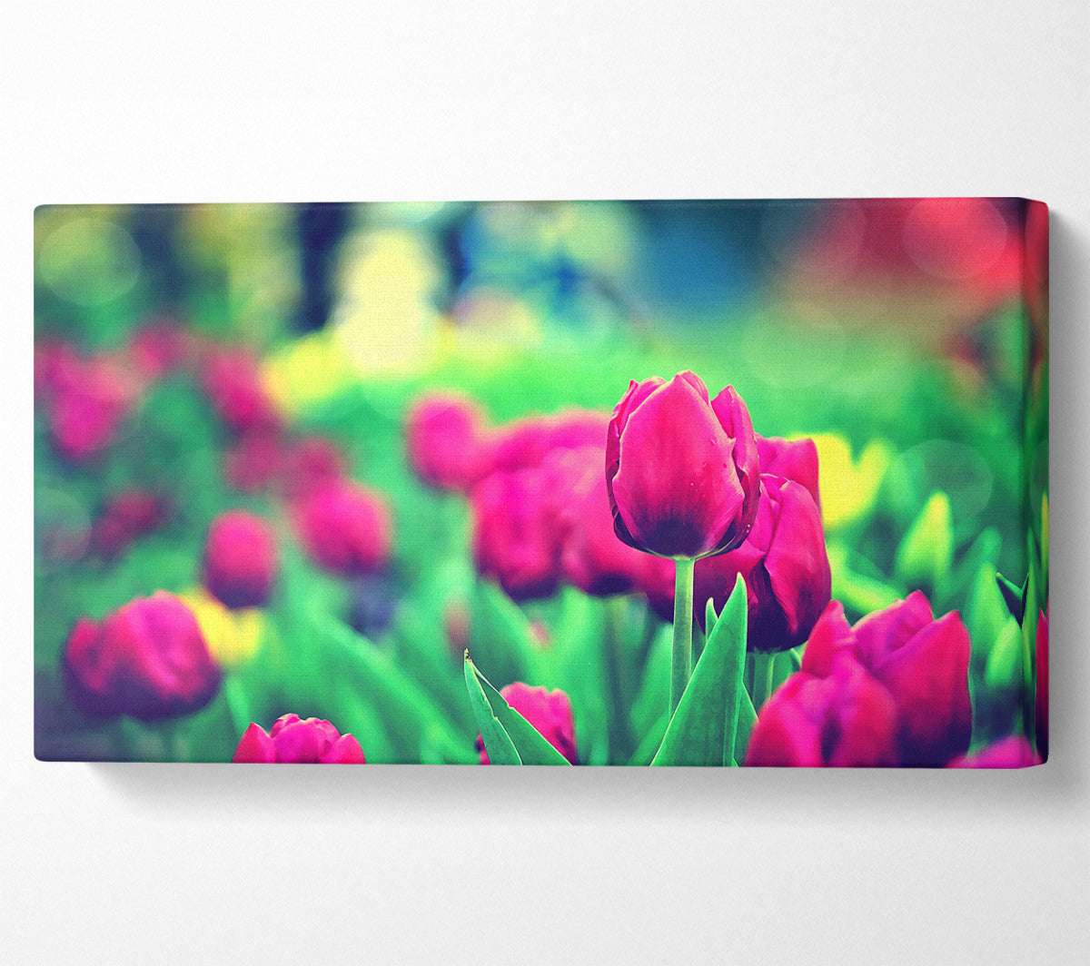 Cerise Tulip Garden Canvas Wall Art
