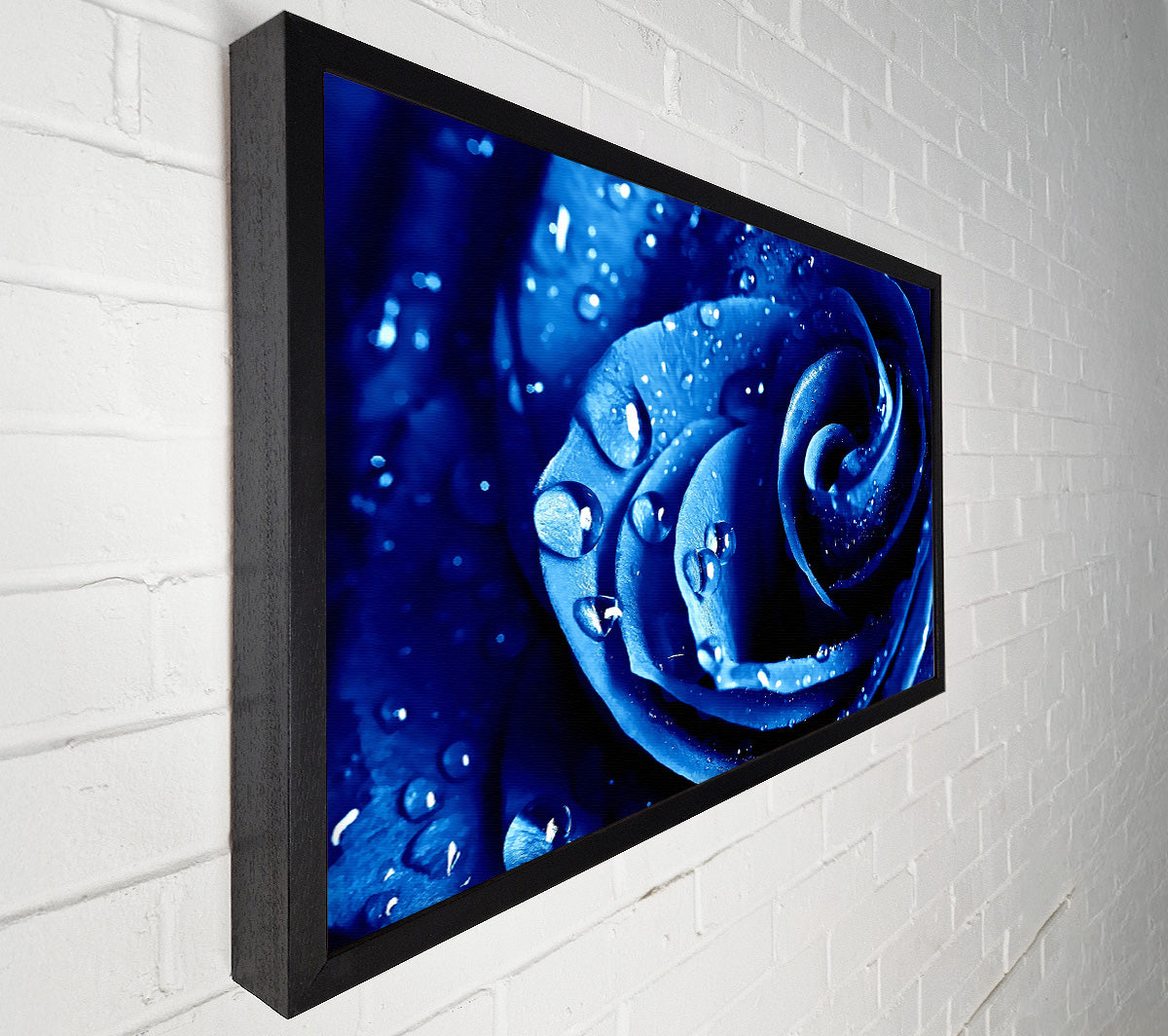 Wet Drops Blue Rose Canvas Wall Art