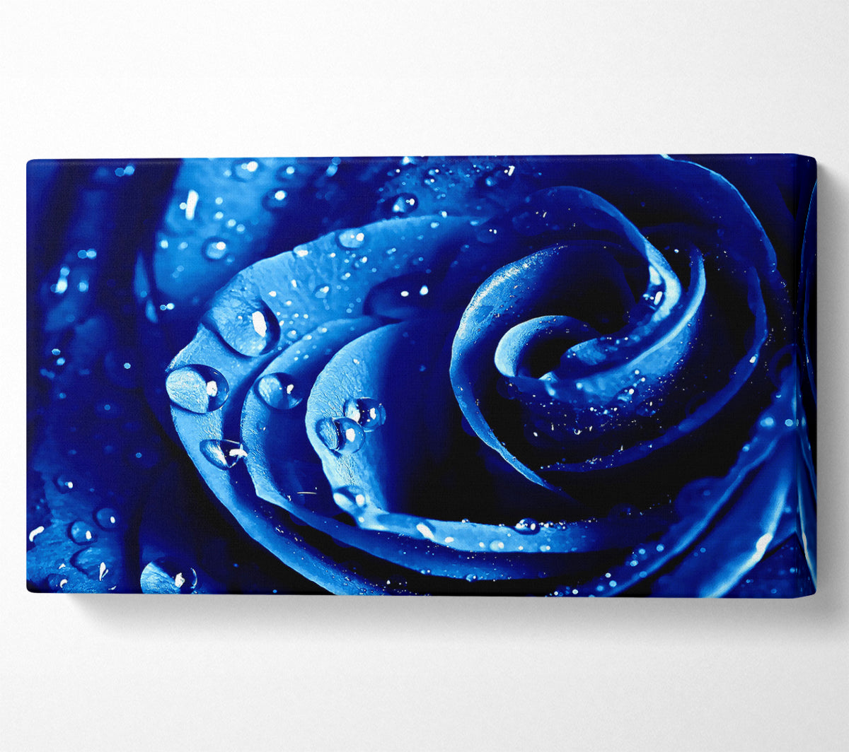 Wet Drops Blue Rose Canvas Wall Art