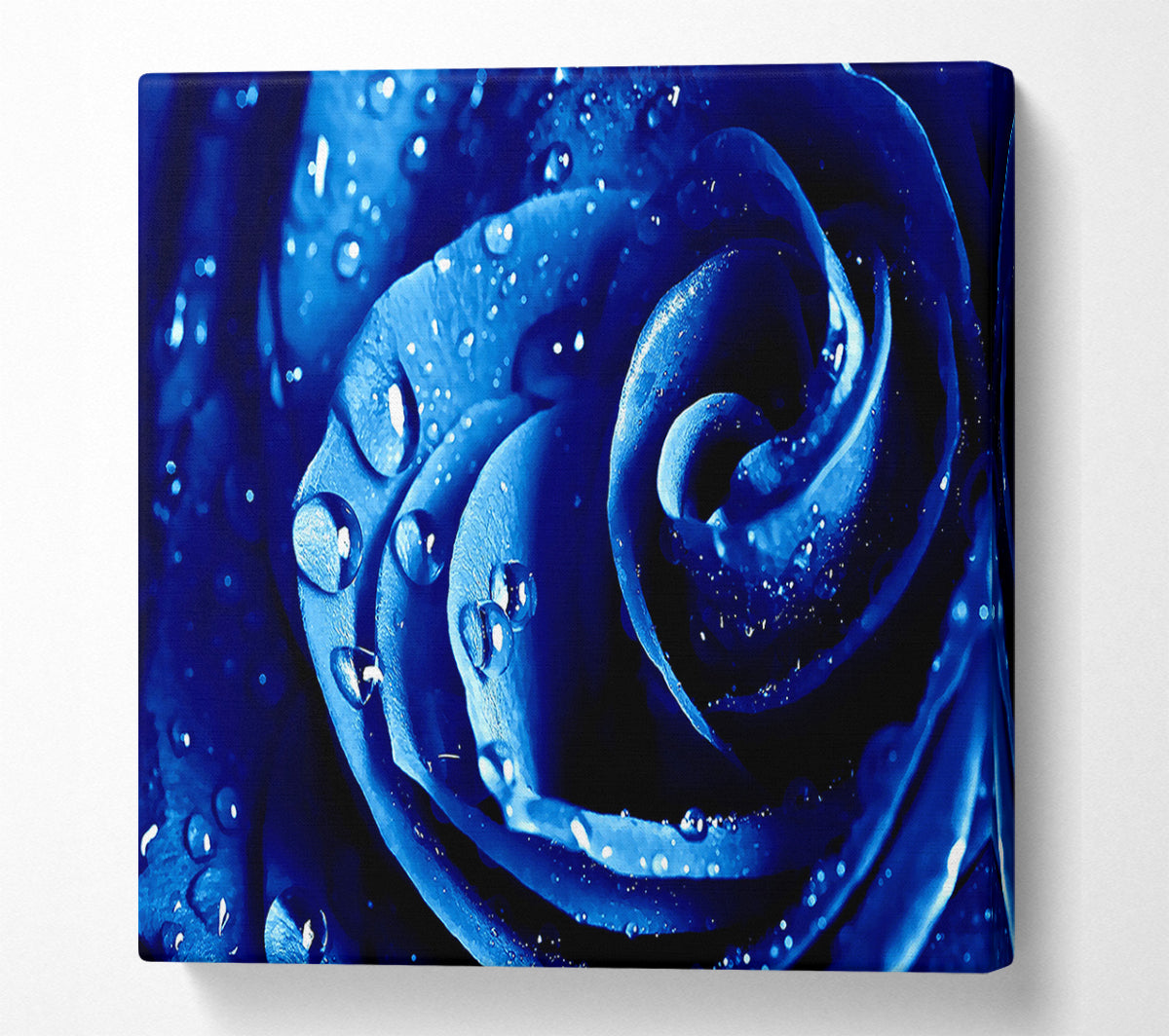 Wet Drops Blue Rose Canvas Wall Art