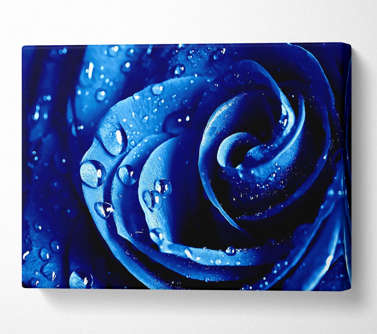 Wet Drops Blue Rose Canvas Wall Art
