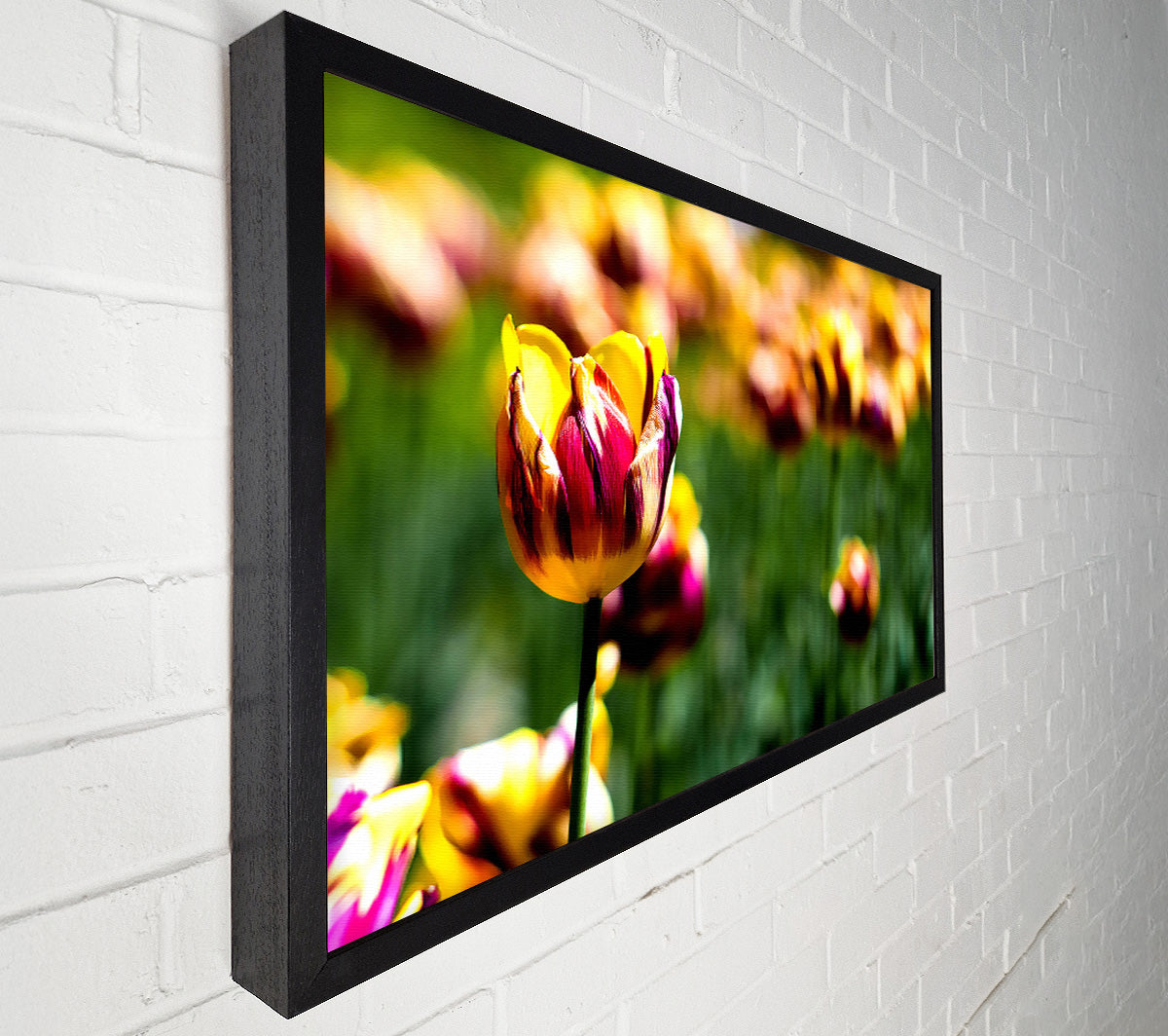 Botanical Garden Tulips Canvas Art