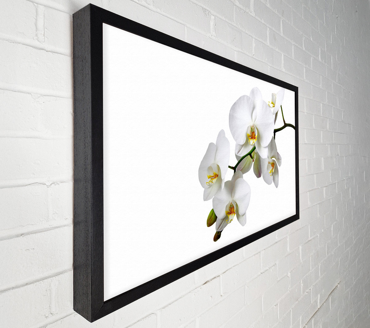 White Orchid Beauty Canvas Wall Art