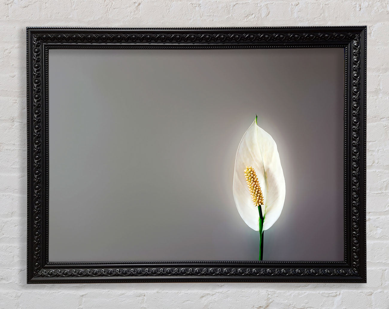 White Lily Heaven Framed Print