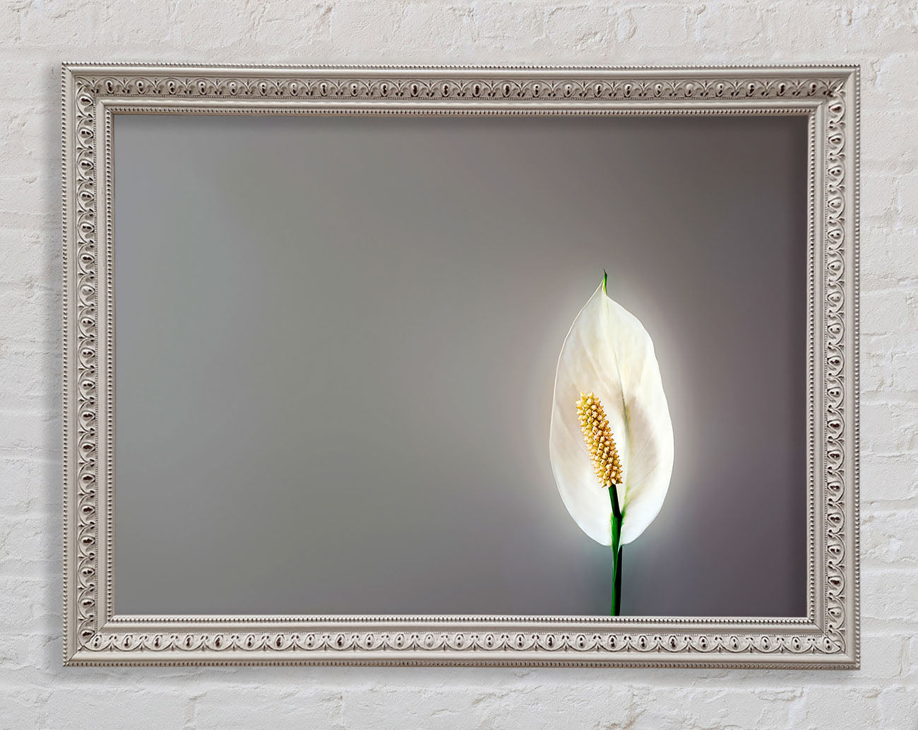 White Lily Heaven Framed Print