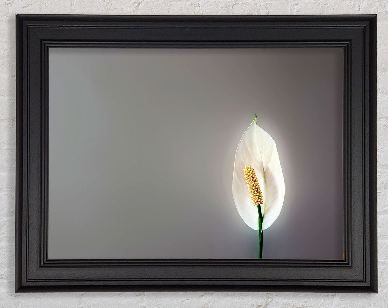 White Lily Heaven Framed Print