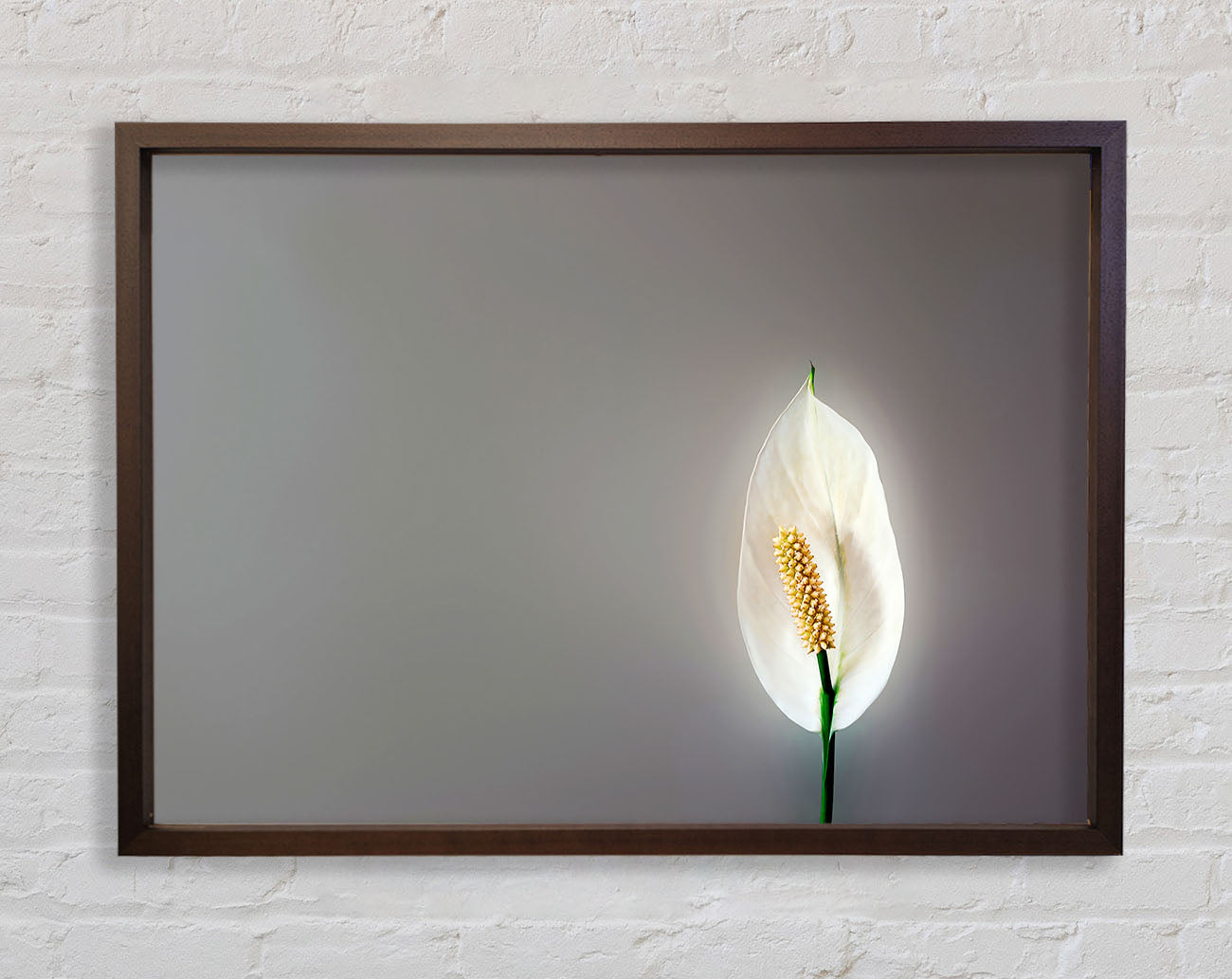 White Lily Heaven Framed Print
