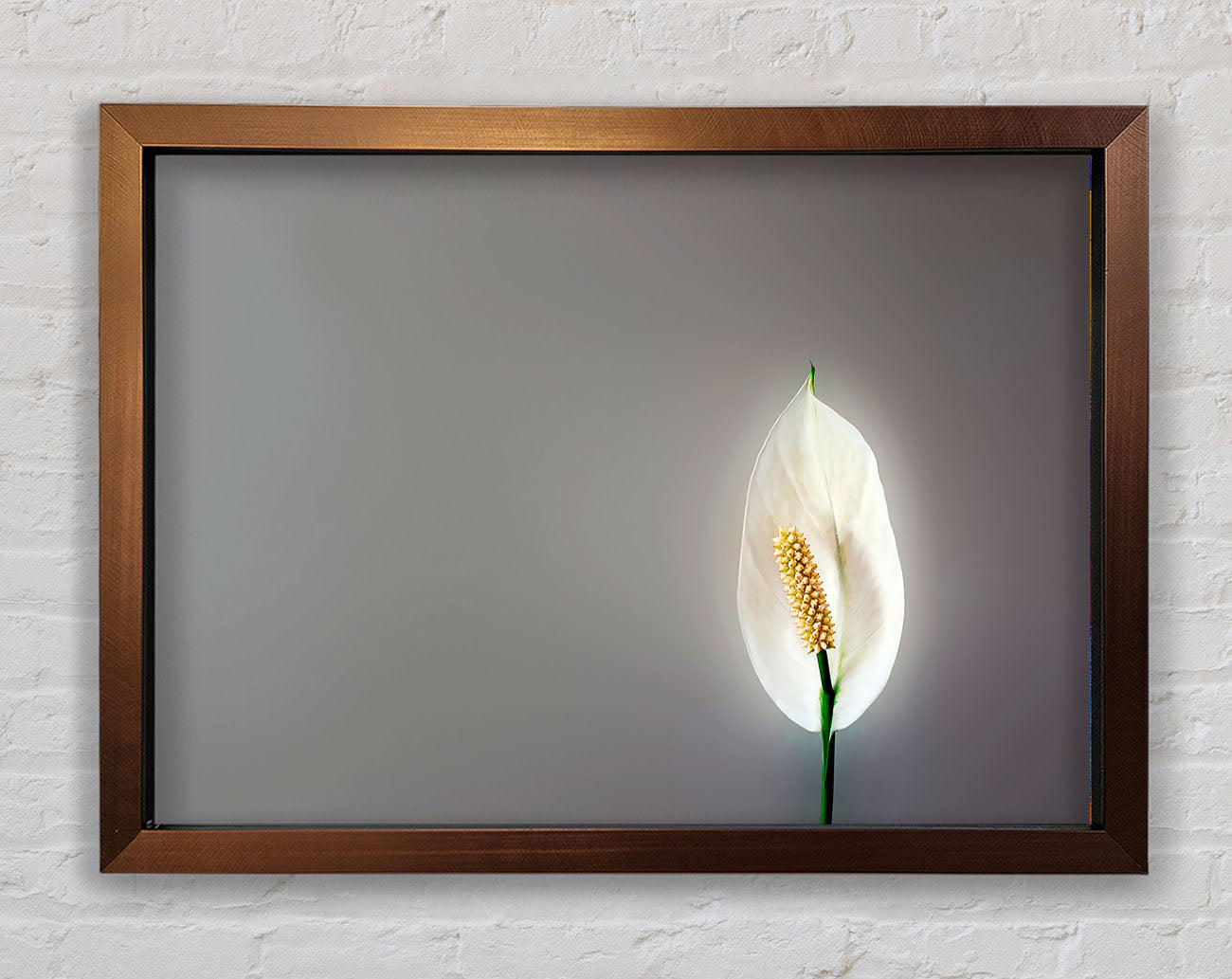 White Lily Heaven Framed Print