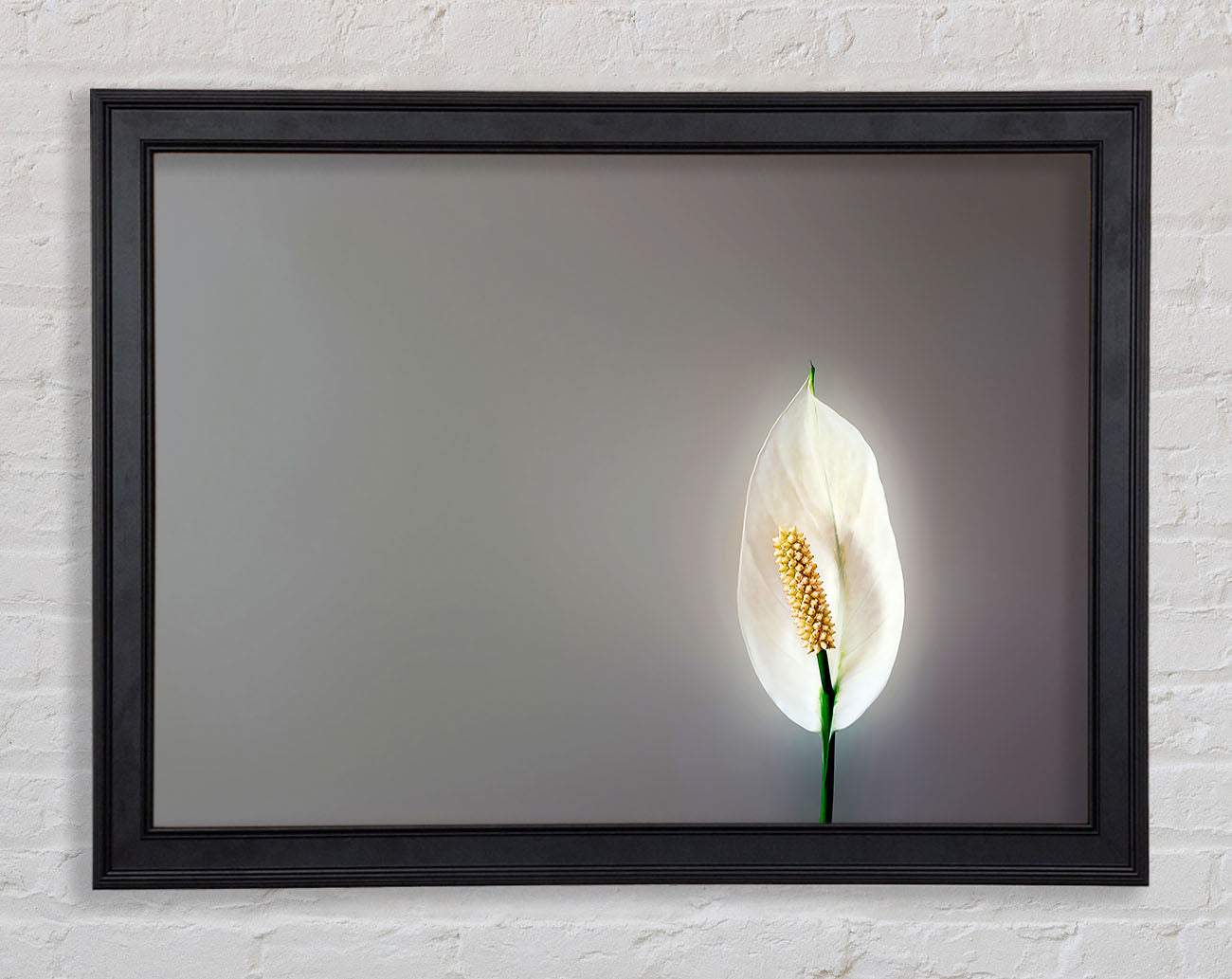 White Lily Heaven Framed Print