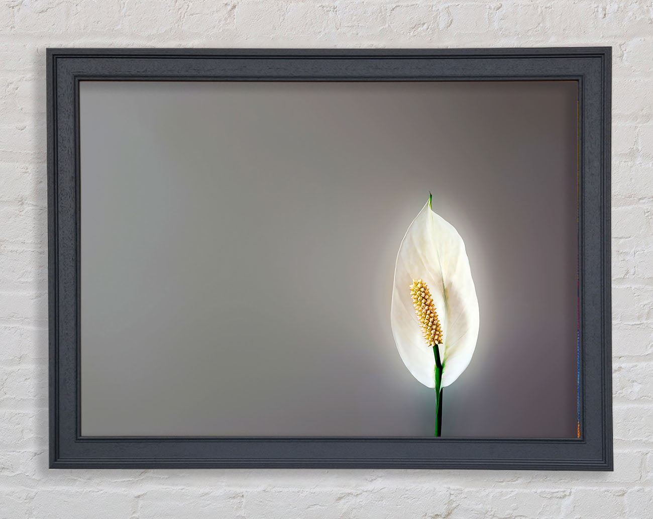 White Lily Heaven Framed Print