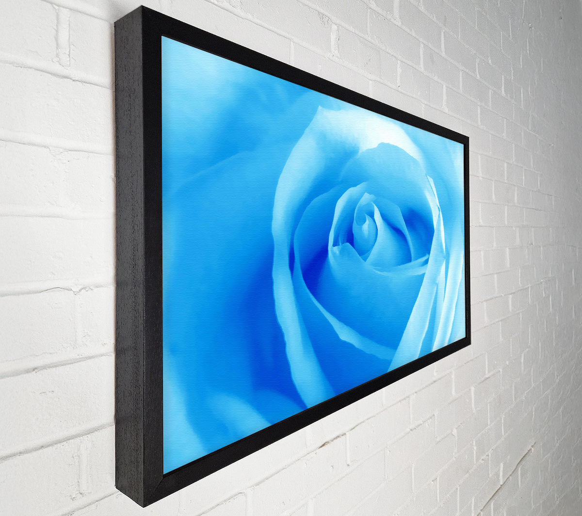 Baby Blue Rose Canvas Wall Art