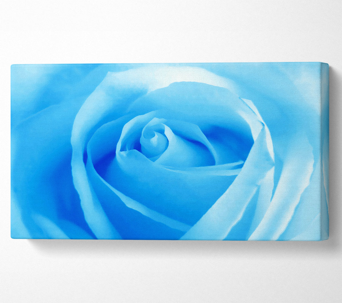 Baby Blue Rose Canvas Wall Art