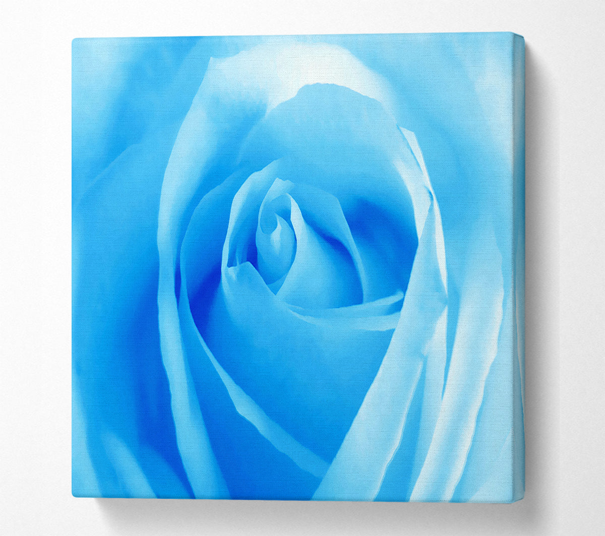 Baby Blue Rose Canvas Wall Art