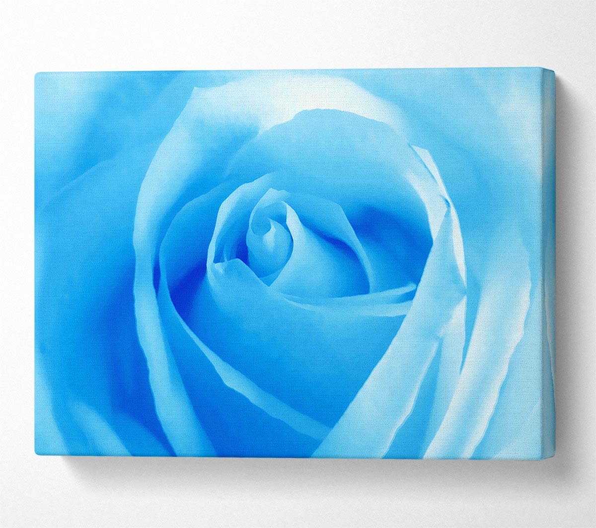 Baby Blue Rose Canvas Wall Art