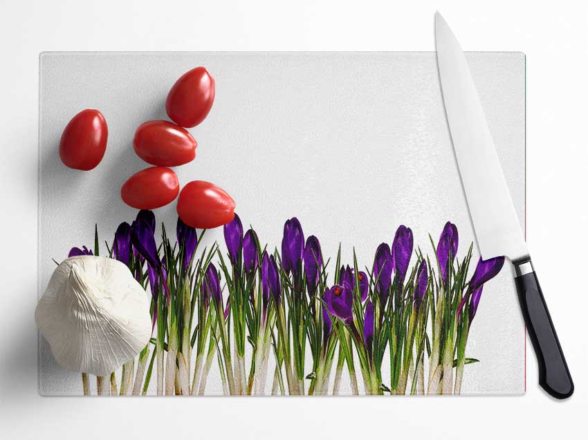 Purple Garden Flowers