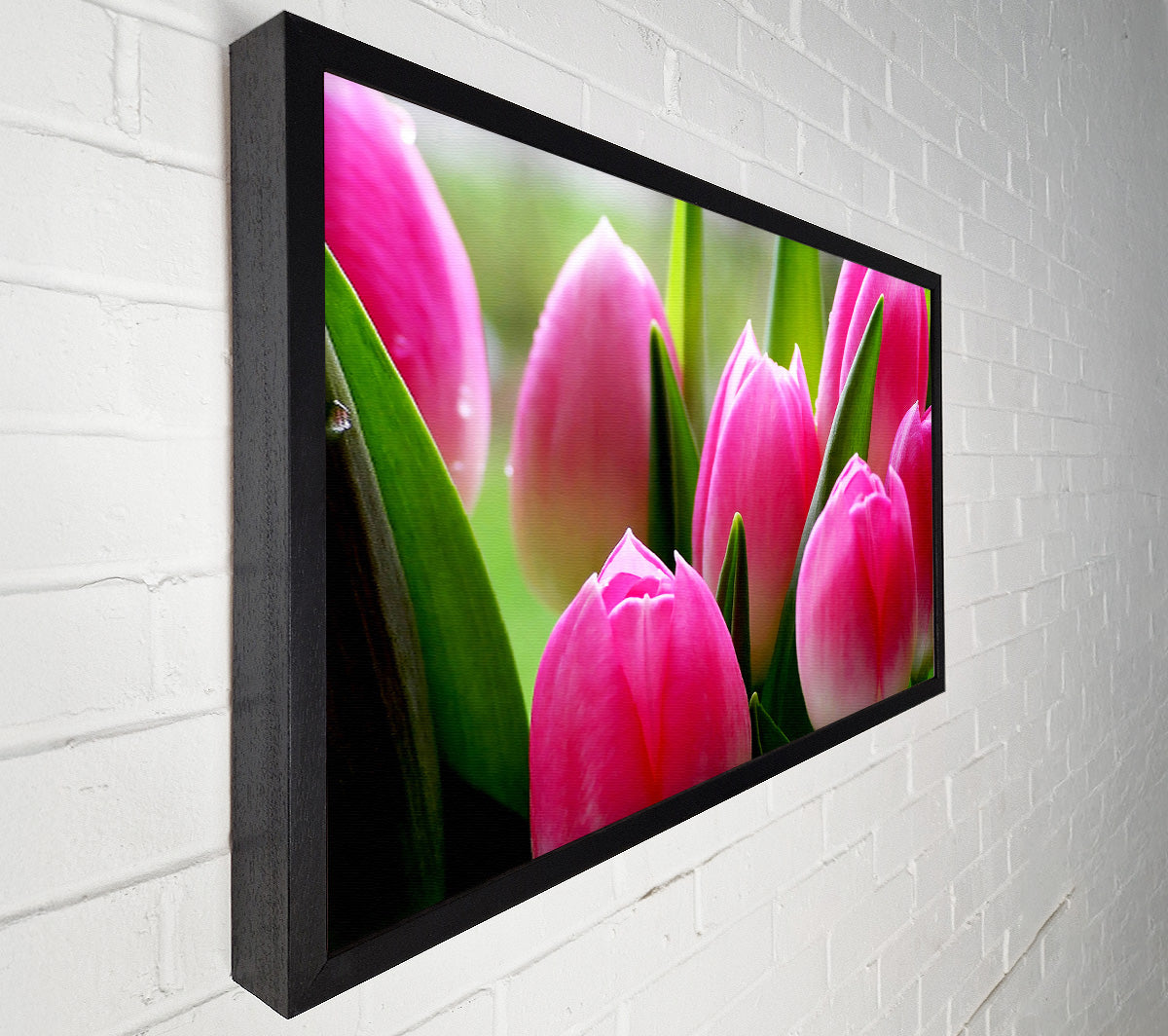 Pink Tulip Garden Surprise Canvas Wall Art